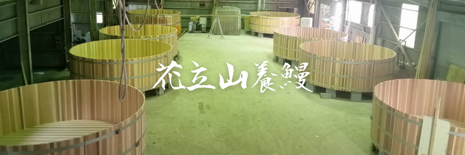 うなぎのおろし